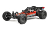 NINCO - Buggy Storn / Warrior / Ford M-Sport / Ford RS 1/12